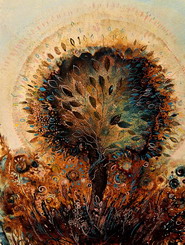galeria kolor