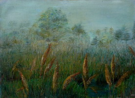 galeria kolor